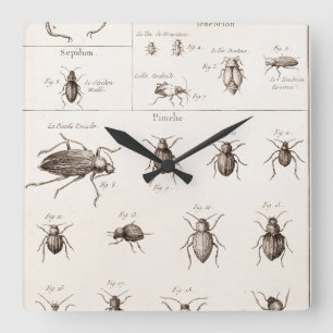 Horloge Carrée Illustration des insectes des insectes des années 