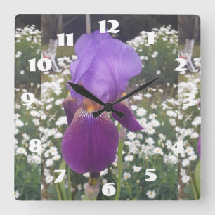 Horloge Carrée Iris Violet Iris Irises Blanc Fleur Jardin