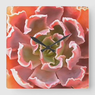 Horloge Carrée Jardin superbe Les tons roses Succulents Art réali