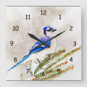 Horloge Carrée Jay bleu dans un pin avec neige