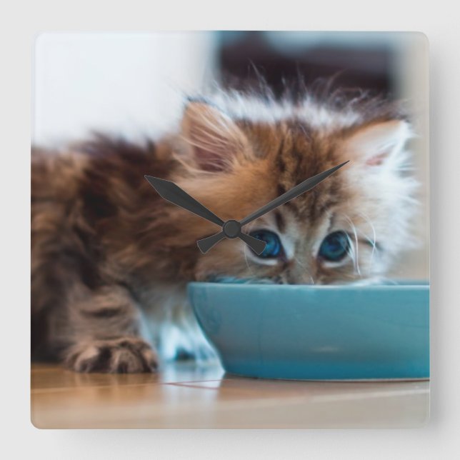 Horloge Carrée Jeune chaton persan (Recto)