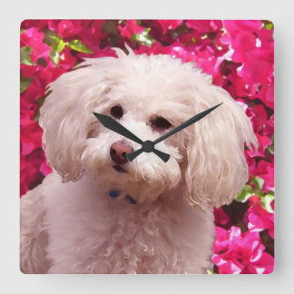 Horloge Carrée Joli caniche