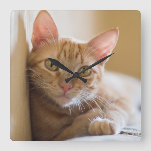 Horloge Carrée Kitten Couché Sur Le Canapé (Recto)