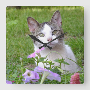 Horloge Carrée Kitty dans l'horloge murale de Petunias