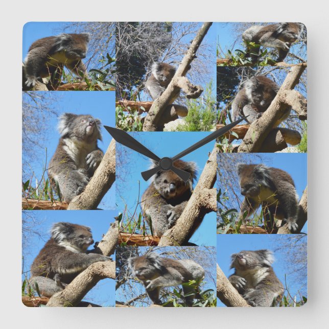 Horloge Carrée Koala Bear Photo Collage, (Recto)