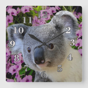 Horloge Carrée Koala et Orchids
