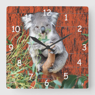 Horloge Carrée Koala Snack Time