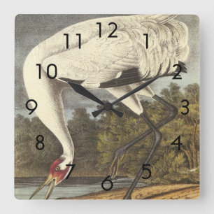 Horloge Carrée La grue blanche d'Audubon