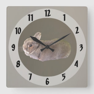 Horloge Carrée Lapin Nain Hollandais