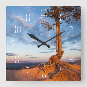 Horloge Carrée L'arbre s'accroche au rebord, parc national de