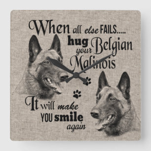 Horloge Carrée L'art malinois belge quand tout échoue citation