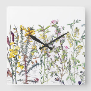 Horloge Carrée Le fleur sauvage botanique fleurit l'horloge