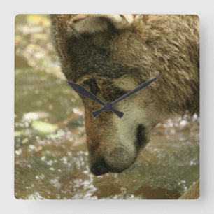 Horloge Carrée L'eau de Pawing de loup