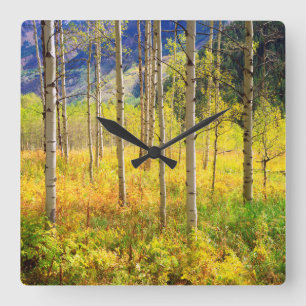 Horloge Carrée Les arbres d'Aspen à l'automne dans les Rocheuses