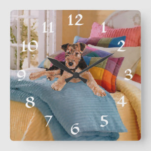 Horloge Carrée L'heure de la sieste pour chiot