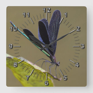 Horloge Carrée Libellule