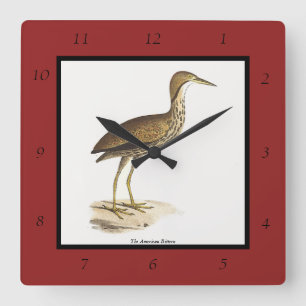 Horloge Carrée L'oiseau de Bittern américain (Botaurus lentiginos