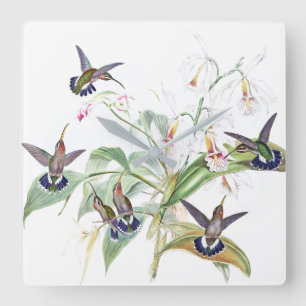 Horloge Carrée L'orchidée d'oiseaux de colibri fleurit l'horloge