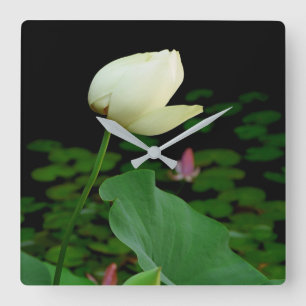 Horloge Carrée Lotus Water Lily Bud