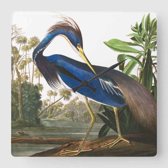 Horloge Carrée Louisiana Heron par John James Audubon (Recto)