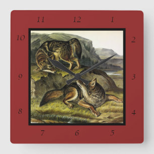 Horloge Carrée Loup des prairies (Coyote) de Quadrupèdes d'Audubo
