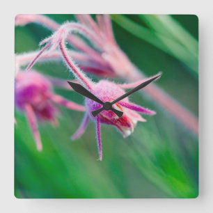 Horloge Carrée Macro photo de fleurs des prairies au Montana