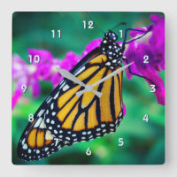 Magnifique monarque orange papillon photo de gros