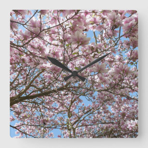 Horloge Carrée Magnolia en avril