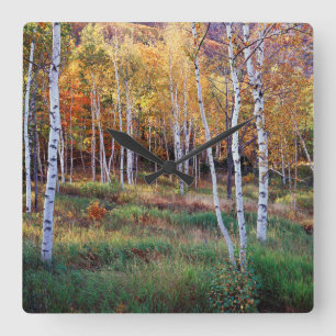 Horloge Carrée Maine, Parc national de l'Acadia, automne