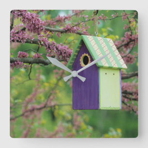Horloge Carrée Maison D'Oiseaux Sur Un Arbre À Roussettes