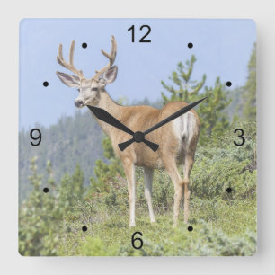 Horloge Carrée Majestic Deer
