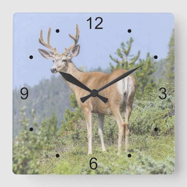 Horloge Carrée Majestic Deer (Recto)