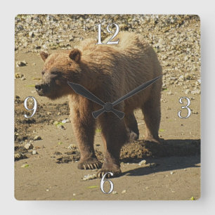 Horloge Carrée Marcher Grizzly sauvage Ours faune Photo 2