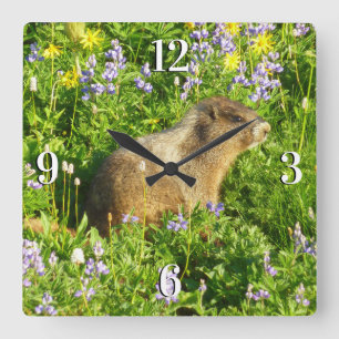 Horloge Carrée Marmotte dans les fleurs sauvages du mont Rainier