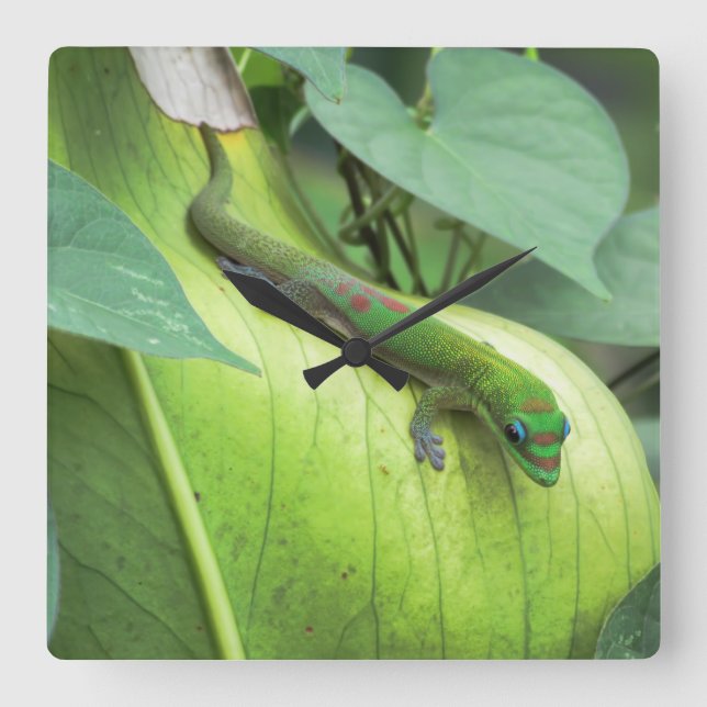 Horloge Carrée Mélange (Recto)