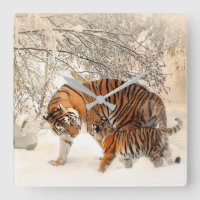 Mignonne Mère Tigre avec bébé en neige