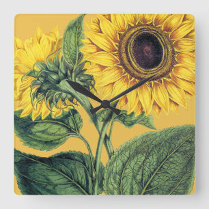 Horloge Carrée Miller : Tournesol