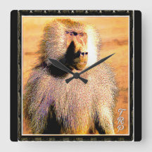 Modèles Primate : Hamadryas baboon 01