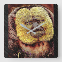 Modèles Primate : Singe Saki à visage blanc