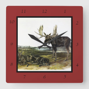 Horloge Carrée Moose Deer (Moose - Alces alces) par Audubon