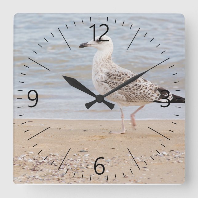 Horloge Carrée Mouette de marche (Recto)
