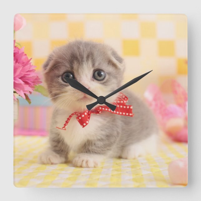 Horloge Carrée Munchkin Kitten (Recto)
