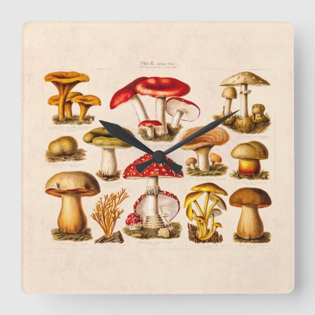 Horloge Carrée Mushrooms de la variety rouge (Recto)