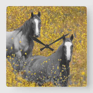 Horloge Carrée Mustard and Horses