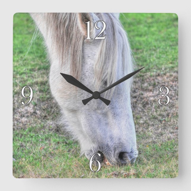 Horloge Carrée New Forest Pony Hampshire, Angleterre (Recto)