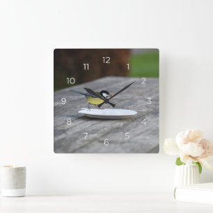 Horloge Carrée Nourriture d'oiseau bleu Tit sur plaque