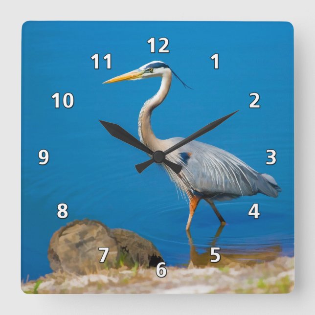 Horloge Carrée Oiseau de grand héron bleu à l'étang (Recto)
