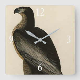 Horloge Carrée Oiseau de Washington d'Audubon's Birds of America
