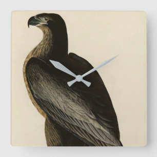 Horloge Carrée Oiseau de Washington d'Audubon's Birds of America