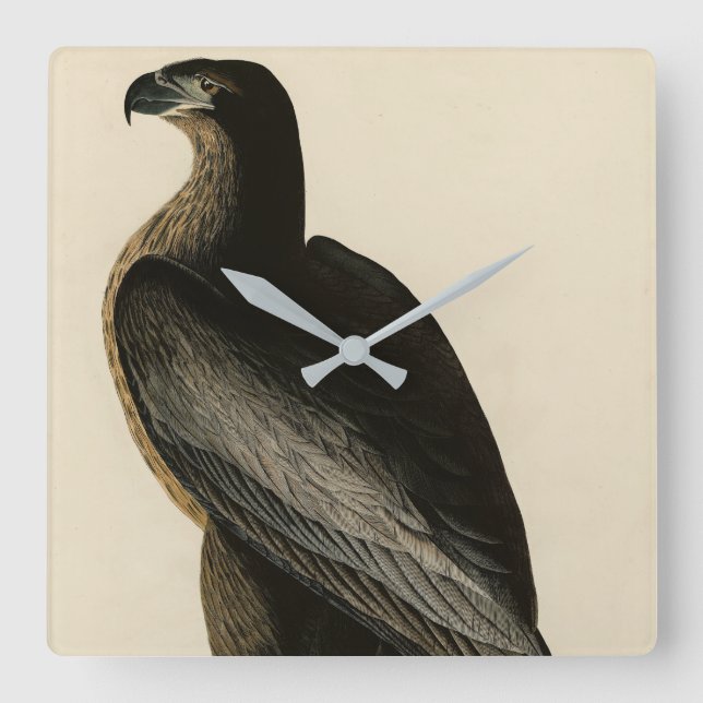 Horloge Carrée Oiseau de Washington d'Audubon's Birds of America (Recto)